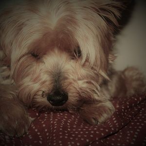 Meet your Posher, esther-elizabeth